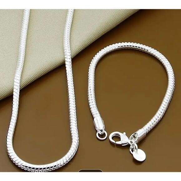 925 Sterling Silver Snake Bone Chain Bracelet and Necklce Set NWT Minimal Modern - Picture 1 of 5